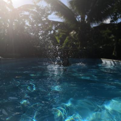 Saut Dans La Piscine