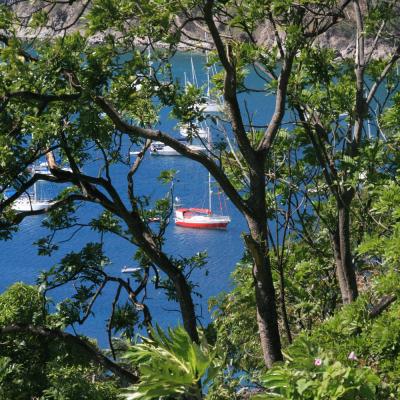 Bateau Rouge Dans La Baie