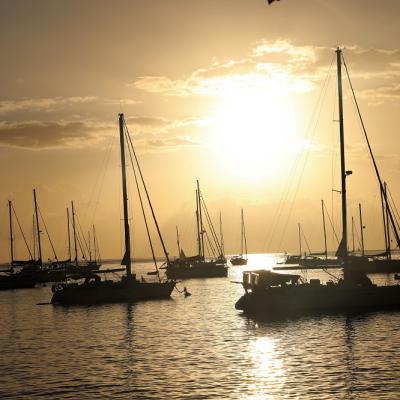 Bateaux Dans La Baie De Deshaies