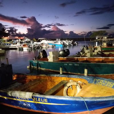 Bateaux De Pche