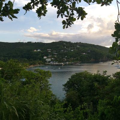 Vue Sur Le Port De Deshaies